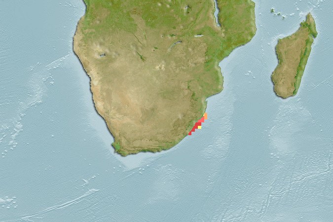 Aquamaps of Cruriraja parcomaculata