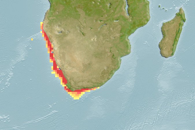 Aquamaps of Sufflogobius bibarbatus