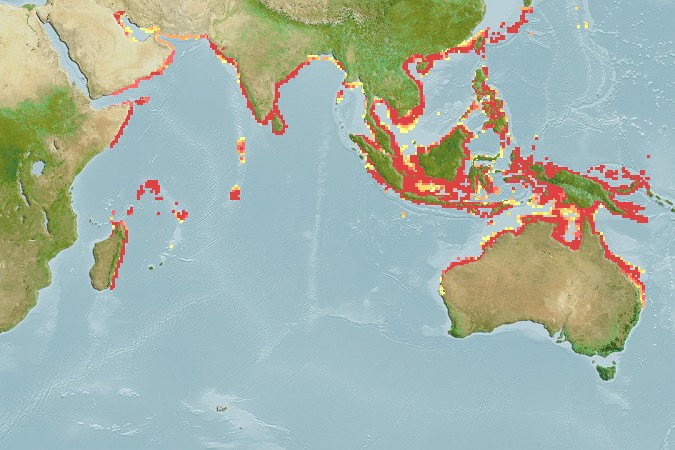 Aquamaps of Acanthocepola abbreviata