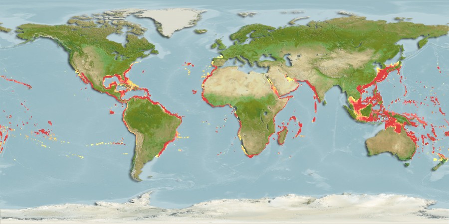 Aquamaps of Taractes rubescens