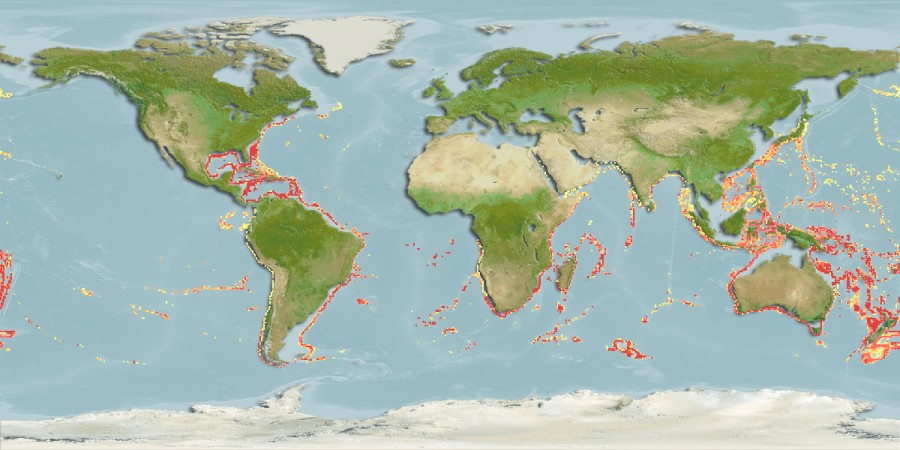 Aquamaps of Epigonus macrops