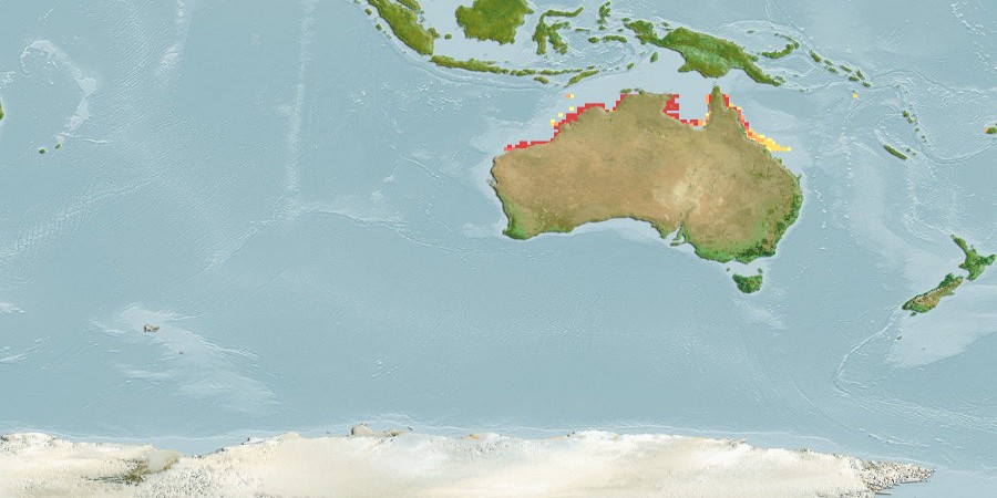 Aquamaps of Atelomycterus macleayi