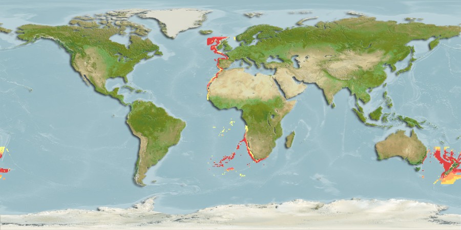 Aquamaps of Scymnodon ringens