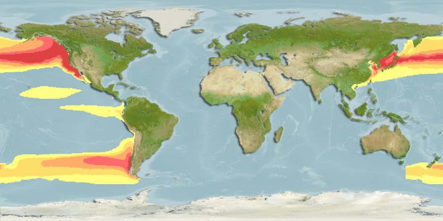 Aquamaps of Icichthys lockingtoni
