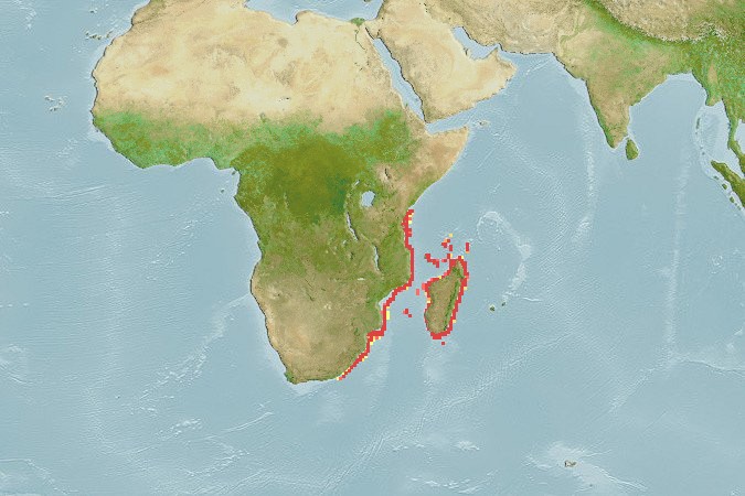 Aquamaps of Latimeria chalumnae