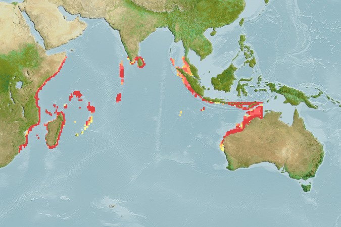 Aquamaps of Lethrinus crocineus