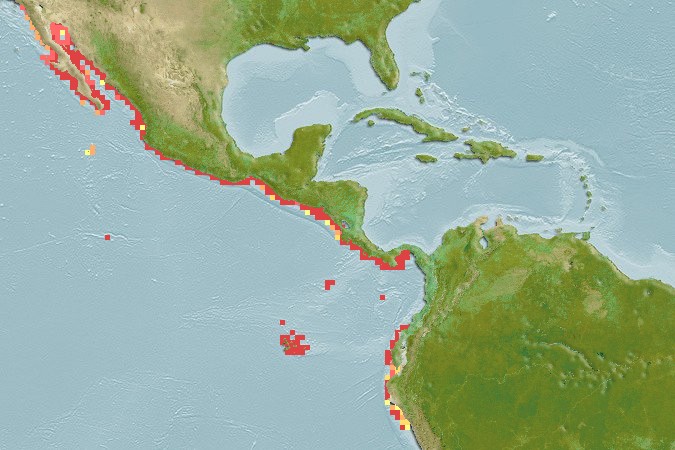 Aquamaps of Mycteroperca xenarcha