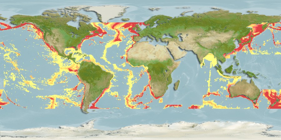 Aquamaps of Notacanthus chemnitzii