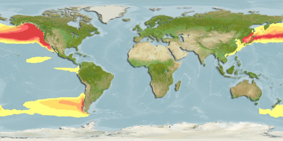 Aquamaps of Tactostoma macropus