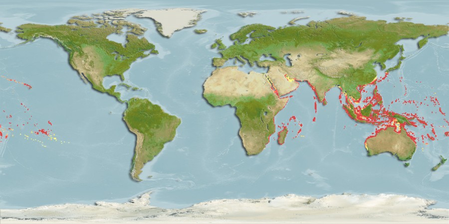 Aquamaps of Apogon coccineus