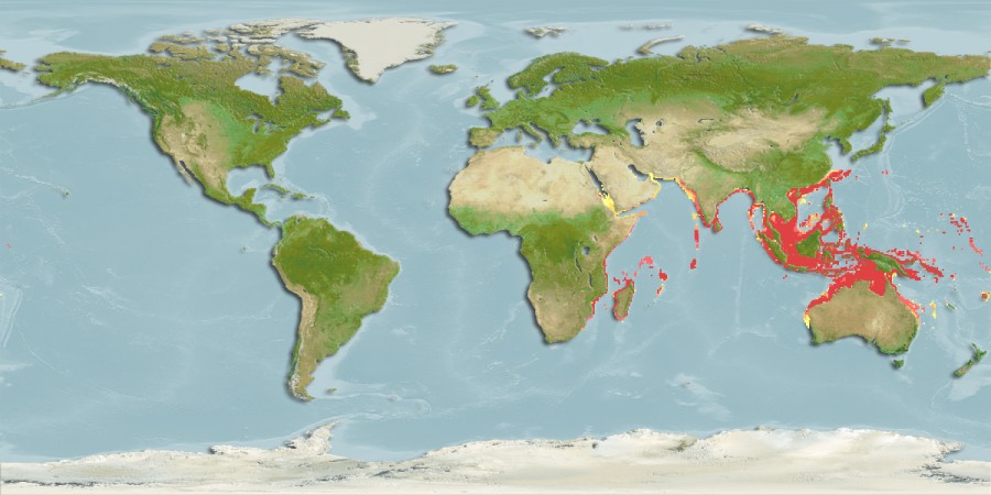 Aquamaps of Hemigaleus microstoma
