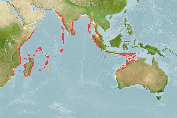 Aquamaps of Naso tuberosus