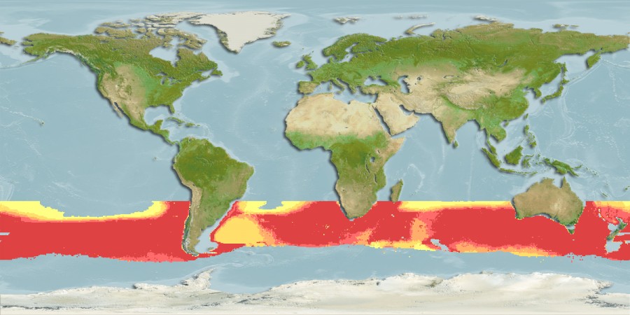 Aquamaps of Idiacanthus atlanticus