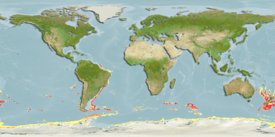 Aquamaps of Echiodon cryomargarites