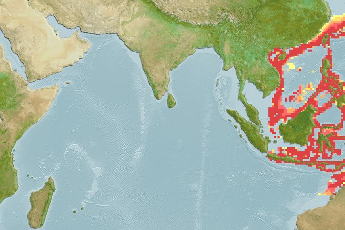 Aquamaps of Epinephelus stictus