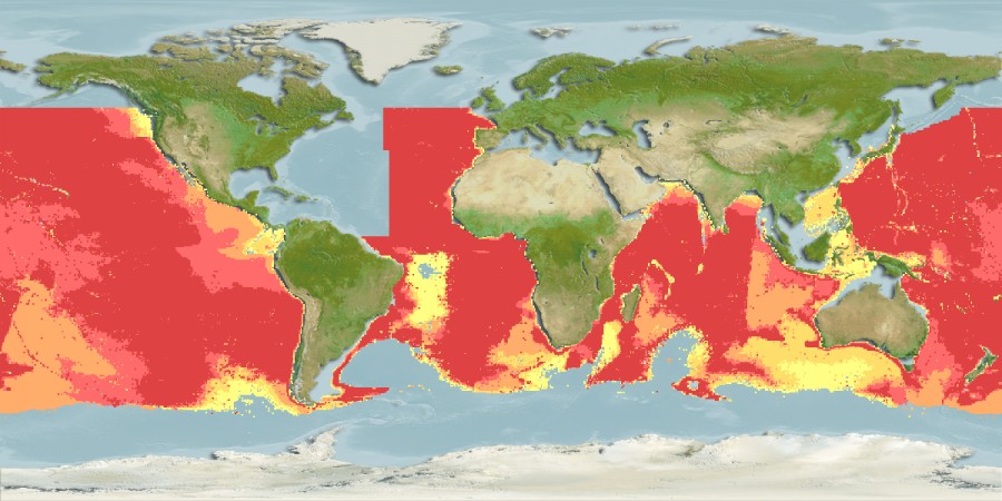 Aquamaps of Opisthoproctus soleatus