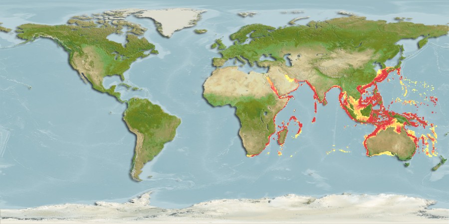 Aquamaps of Xiphasia setifer