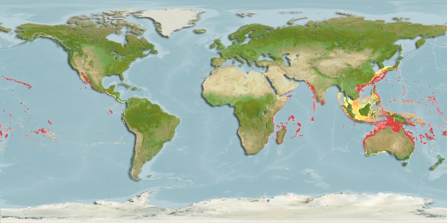 Aquamaps of Iracundus signifer