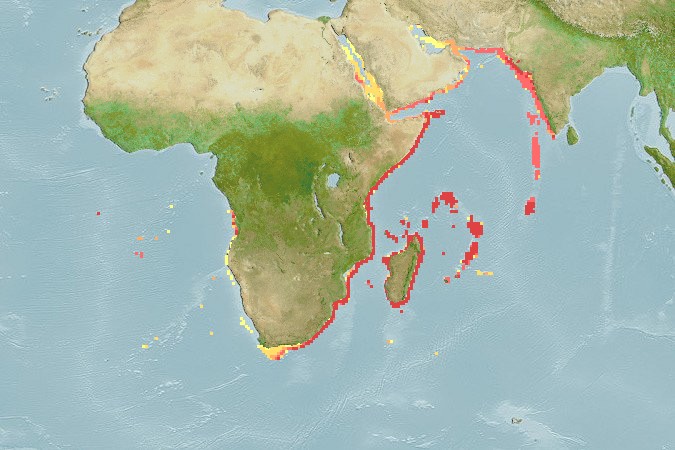 Aquamaps of Uranoscopus archionema