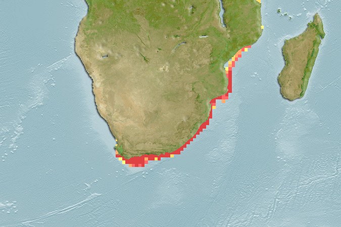 Aquamaps of Chaetodon marleyi