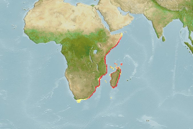 Aquamaps of Ambassis natalensis