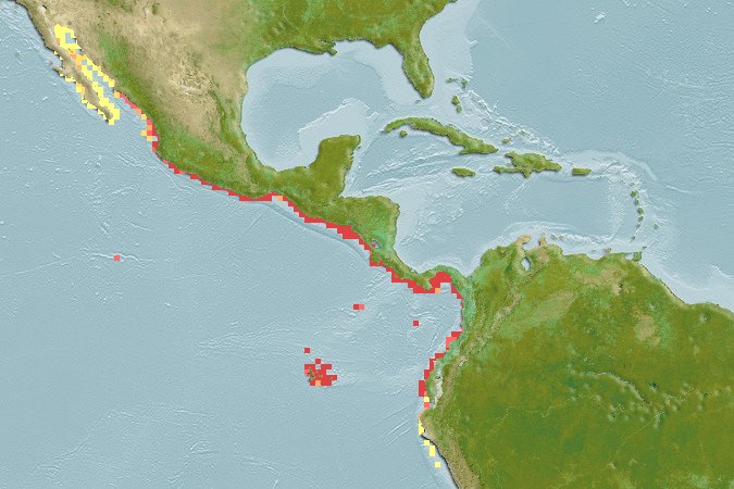 Aquamaps of Apogon dovii