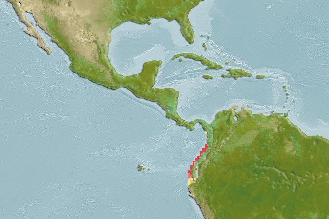 Aquamaps of Bollmannia chlamydes