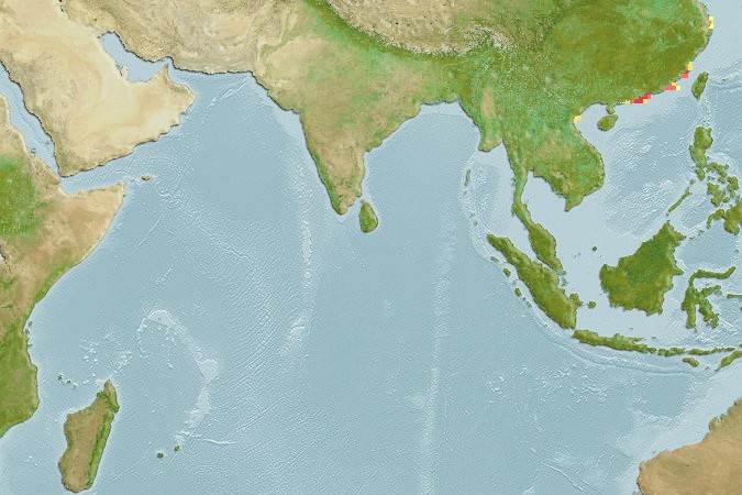 Aquamaps of Acipenser sinensis