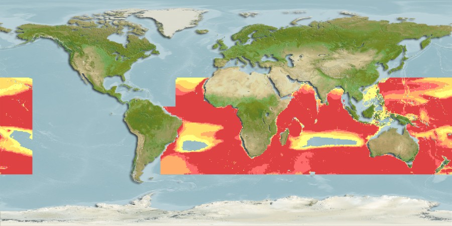 Aquamaps of Winteria telescopa
