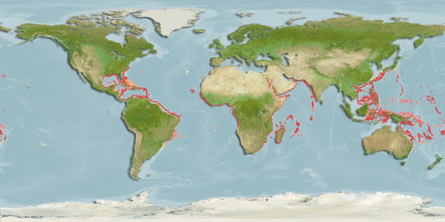 Aquamaps of Zenion longipinnis