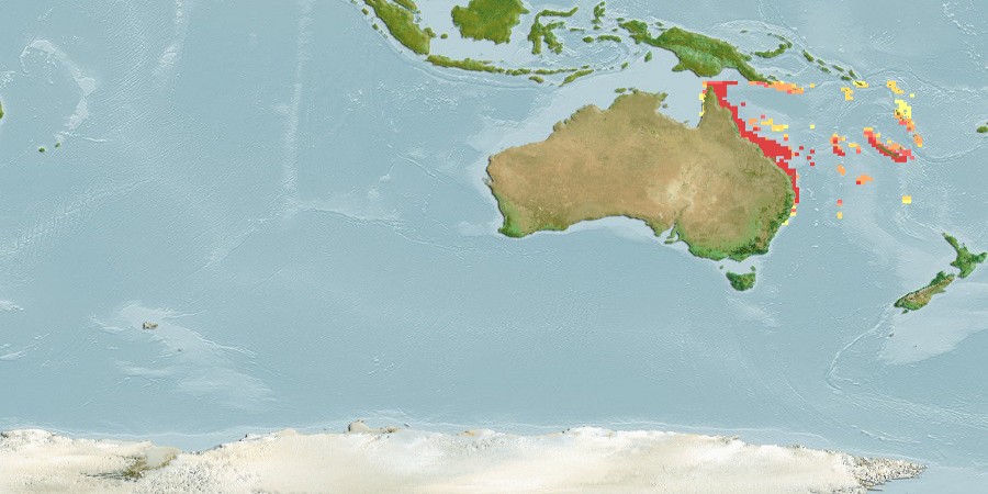 Aquamaps of Abudefduf whitleyi