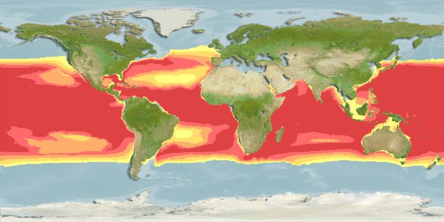 Aquamaps of Astronesthes indicus
