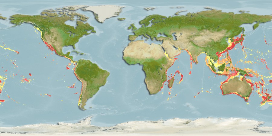 Aquamaps of Nettastoma parviceps
