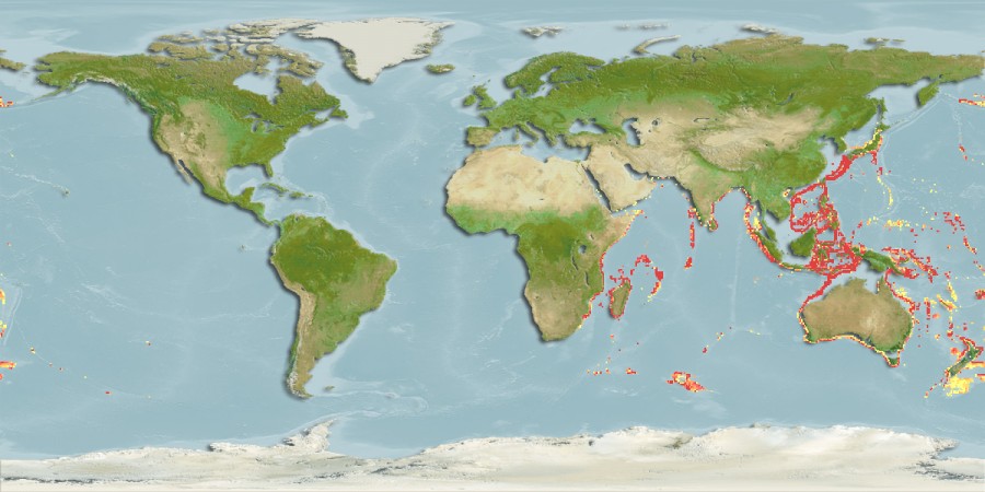 Aquamaps of Poecilopsetta praelonga