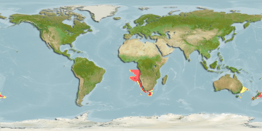 Aquamaps of Zu elongatus