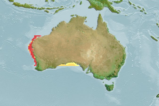 Aquamaps of Batrachomoeus occidentalis