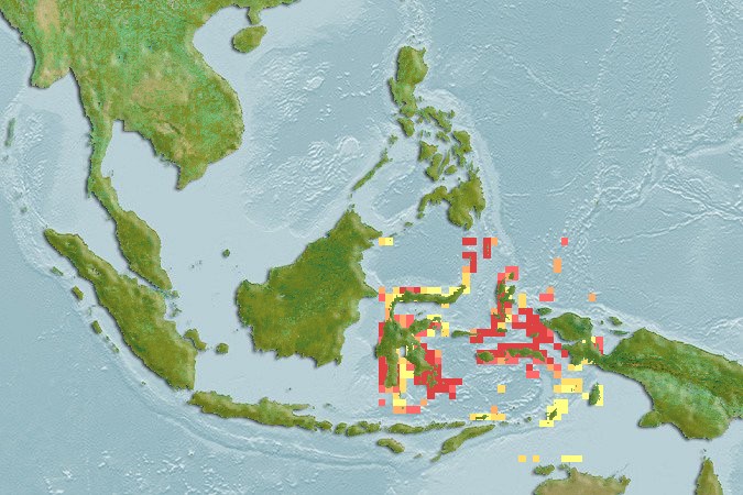 Aquamaps of Neoglyphidodon crossi
