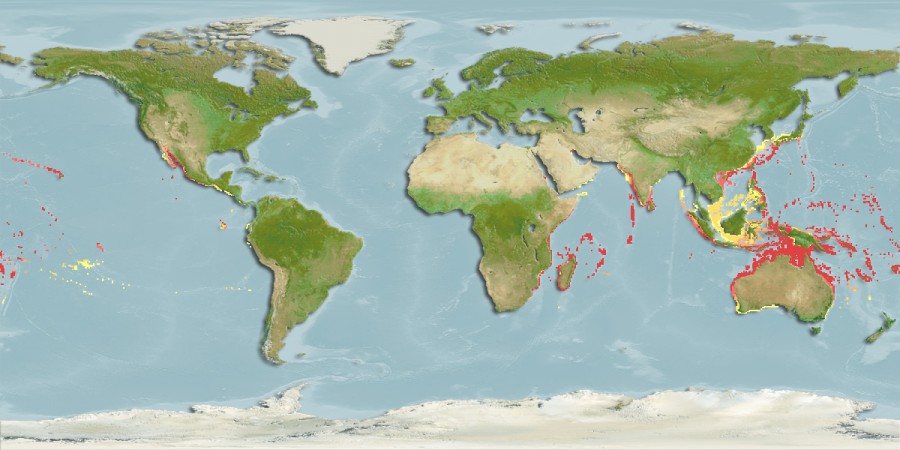 Aquamaps of Gunnellichthys curiosus
