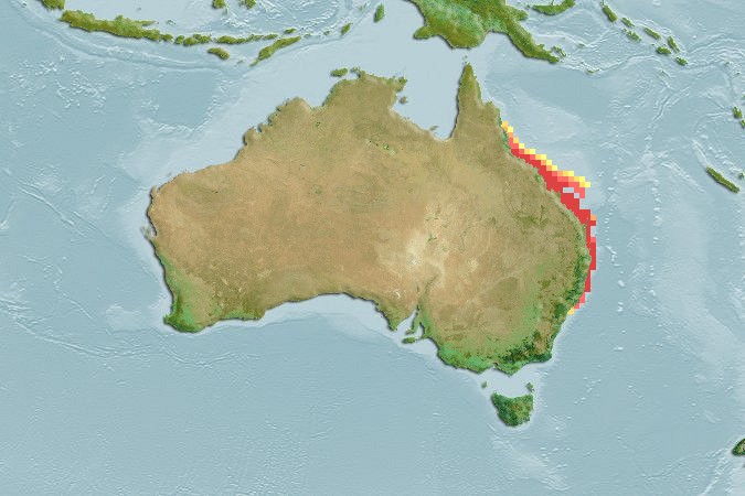 Aquamaps of Pseudolabrus guentheri
