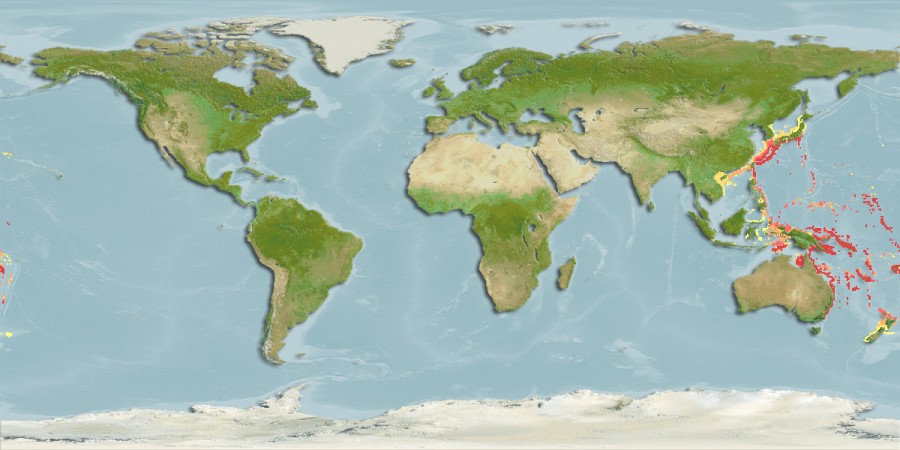Aquamaps of Branchiostegus wardi