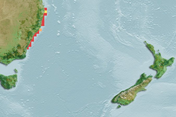 Aquamaps of Ambassis jacksoniensis