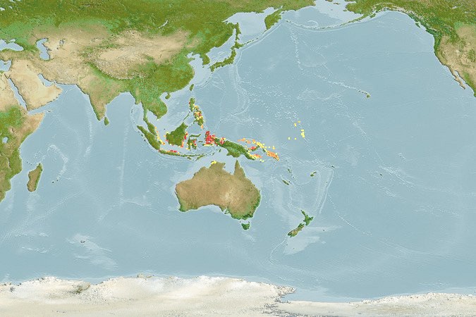 Aquamaps of Kalyptatherina helodes
