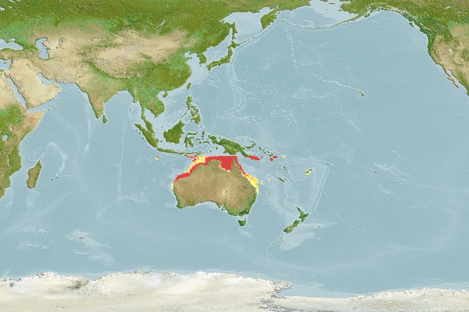 Aquamaps of Carcharhinus tilstoni