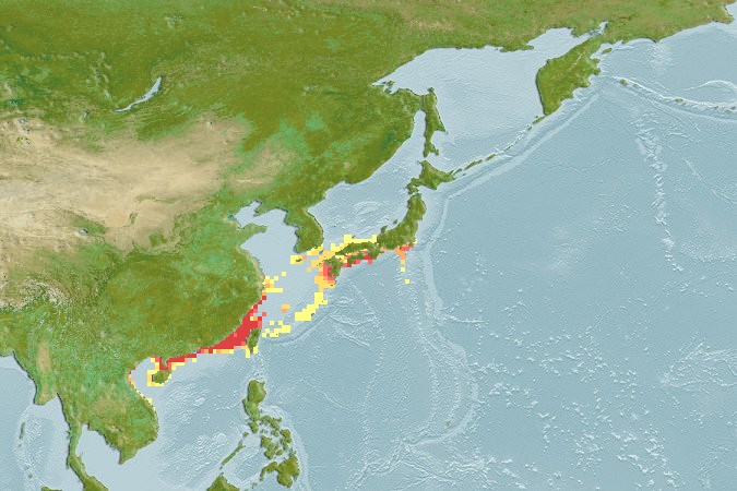 Aquamaps of Johnius distinctus