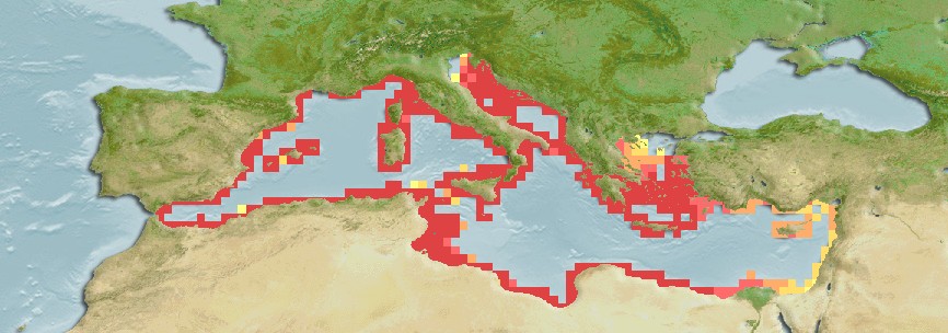 Aquamaps of Odondebuenia balearica