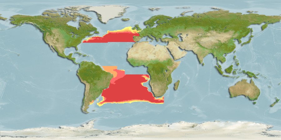 Aquamaps of Macroparalepis brevis