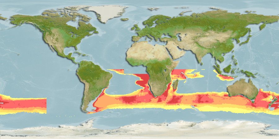 Aquamaps of Mesobius antipodum