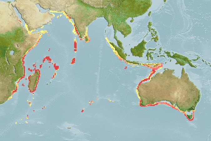 Aquamaps of Florenciella lugubris