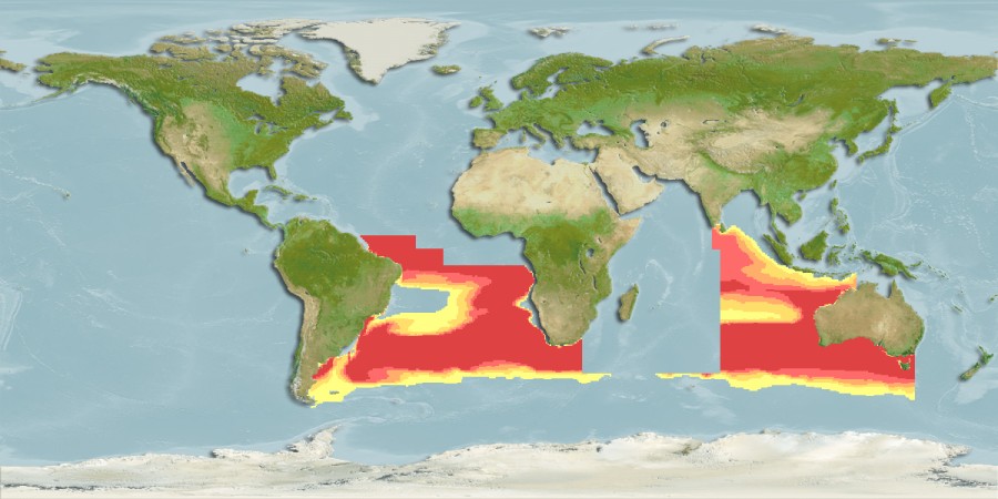 Aquamaps of Ichthyococcus australis