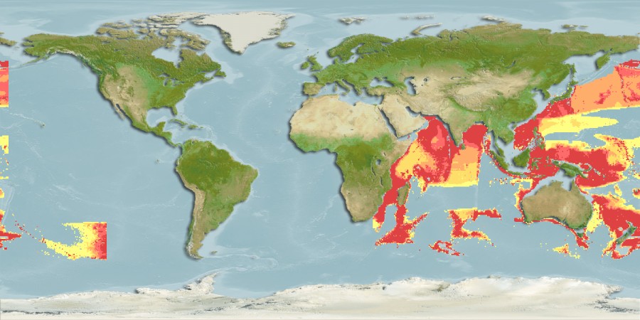 Aquamaps of Gadomus multifilis